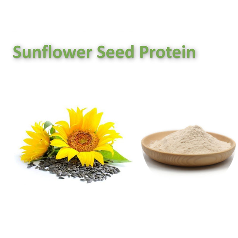 Proteína de semilla de girasol (60%)